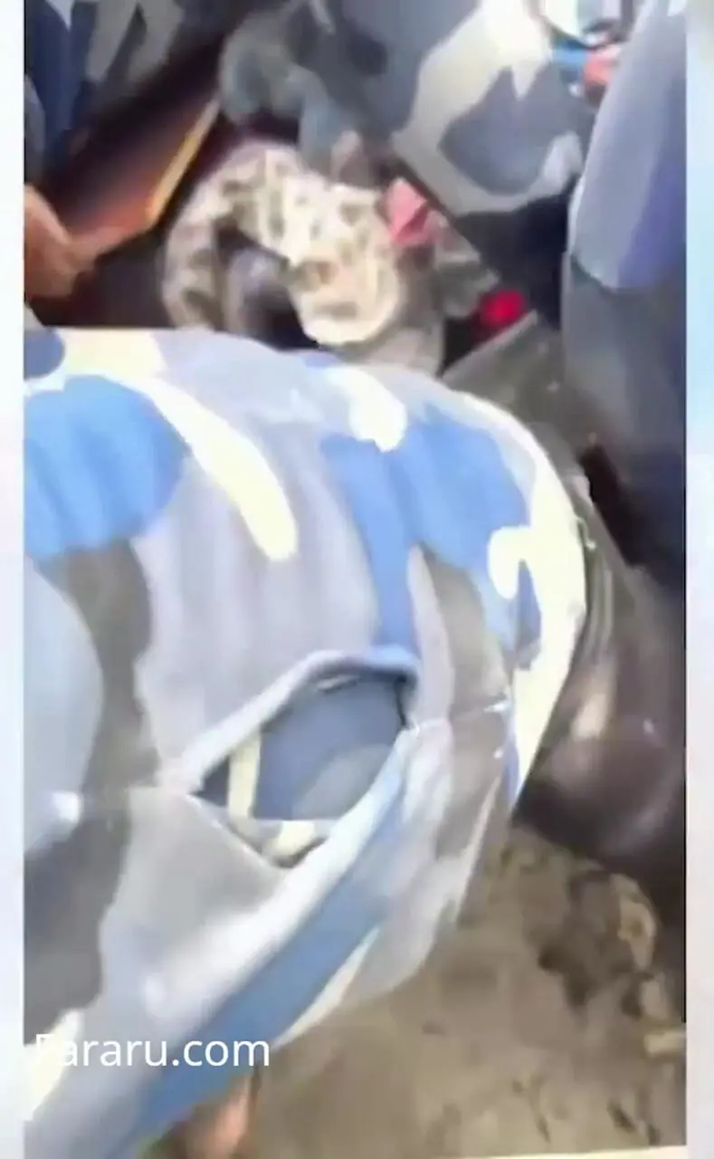 نجات معجزه‌آسا از سیل نپال پس از ۴ روز